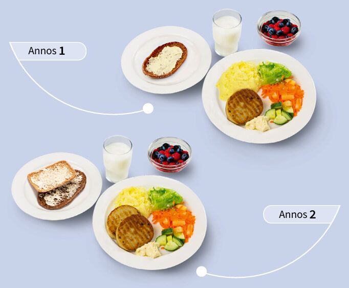 Kaksi lounasateriaa eri energiatasoille